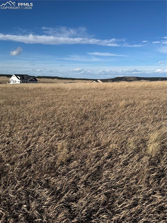 Image 8 of 20: View