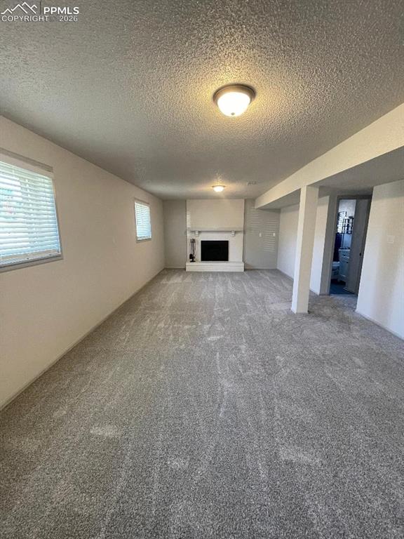 Image 15 of 23: Lower Level Family Room / Wood Burning Fireplace