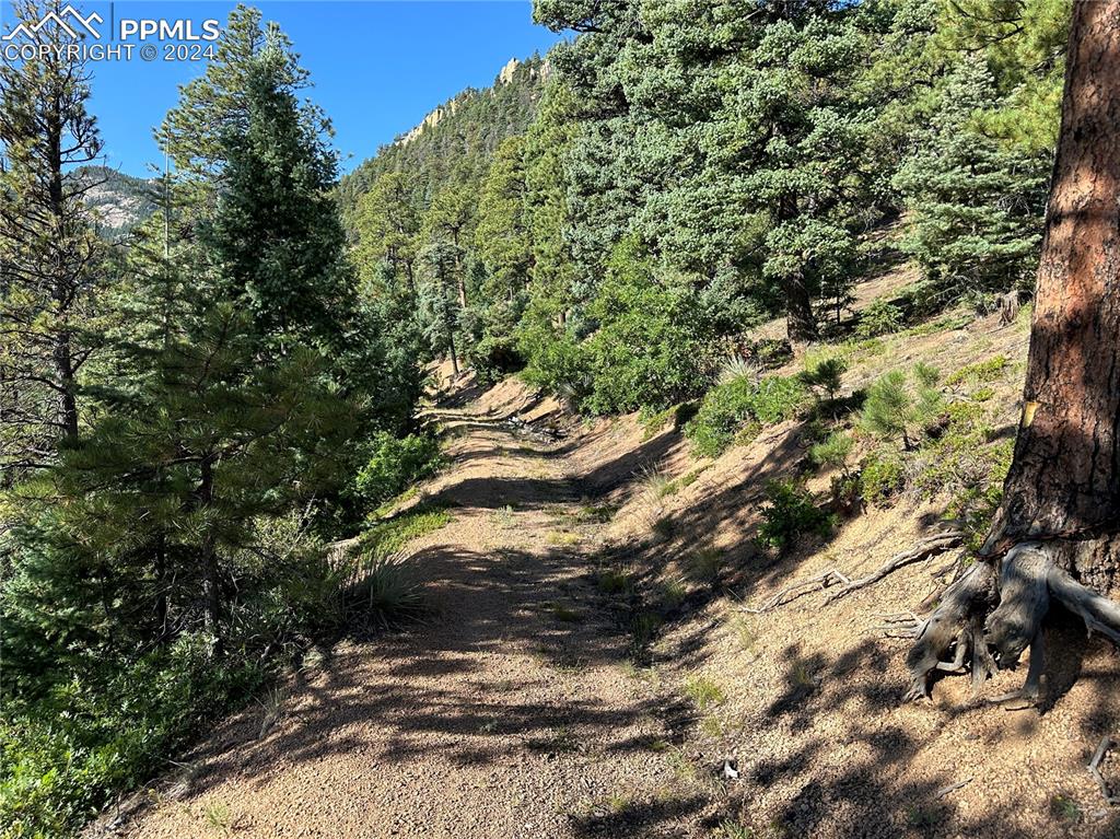 Image 6 of 23: Future driveway