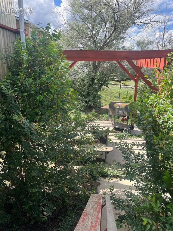 Image 17 of 37: Yard