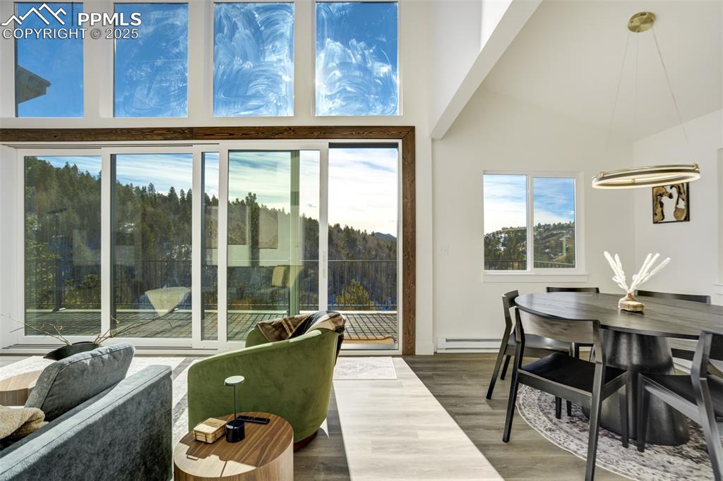 Image 17 of 50: Other