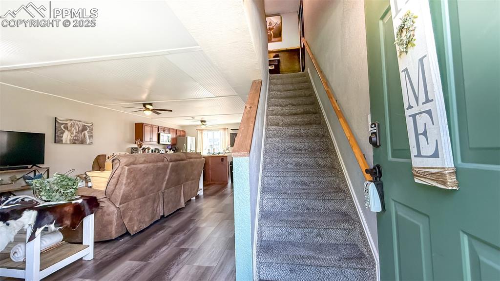 Image 16 of 35: Other