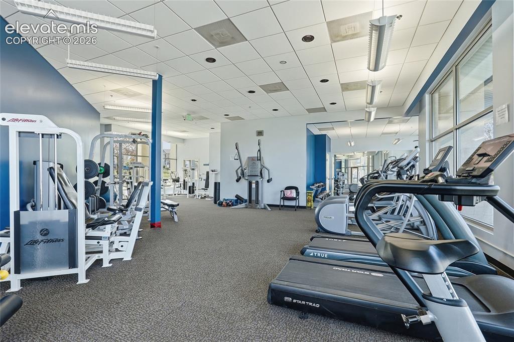 Image 48 of 50: Gym