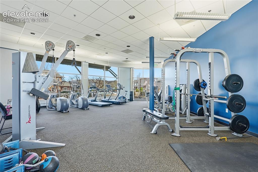 Image 49 of 50: Gym