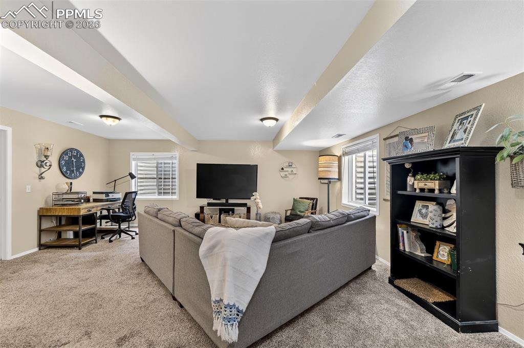 Image 21 of 37: Large Family Room in the Basement