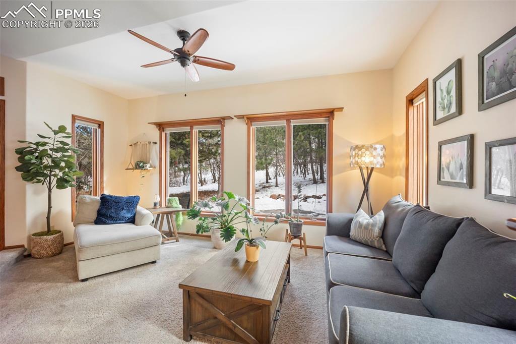 Image 6 of 48: Living room featuring carpet, plenty of natural light, and ceiling fan