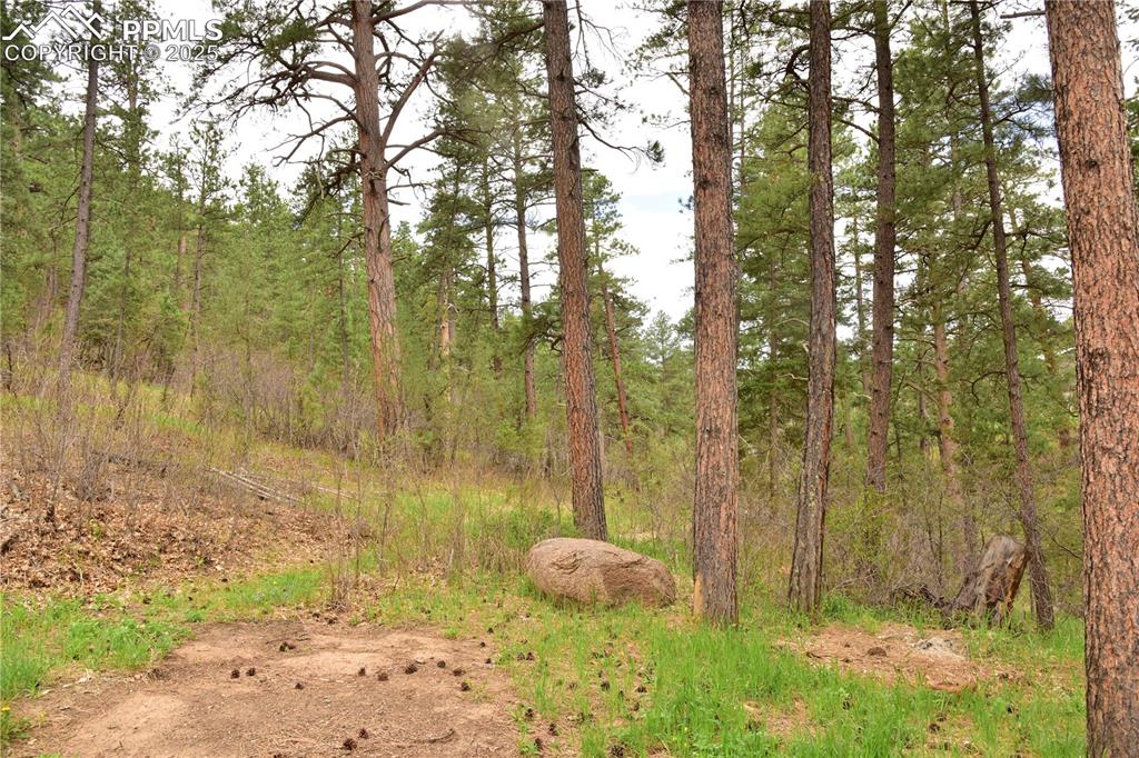 Image 27 of 46: View of wooded area