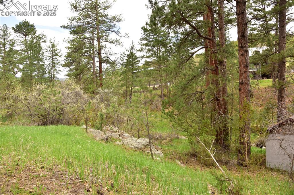 Image 30 of 46: View of tree filled area