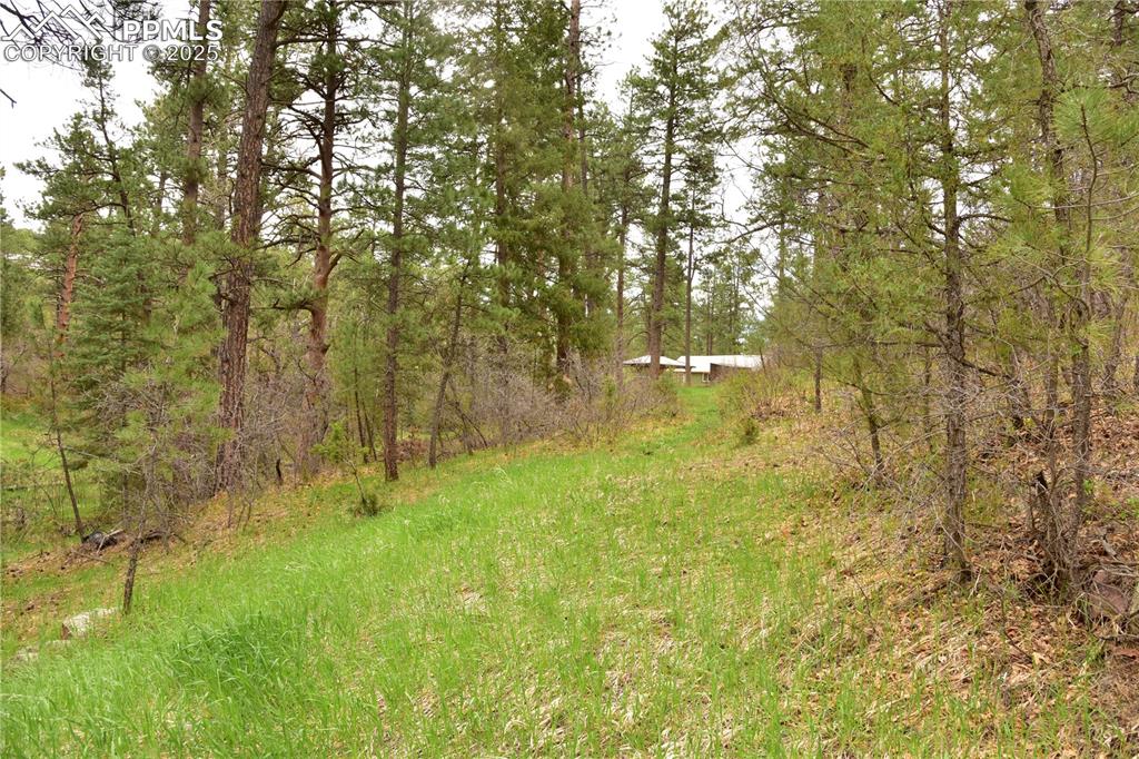 Image 31 of 46: View of yard featuring a wooded view