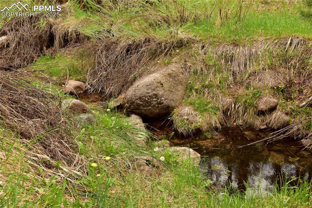 Image 34 of 46: View of local wilderness