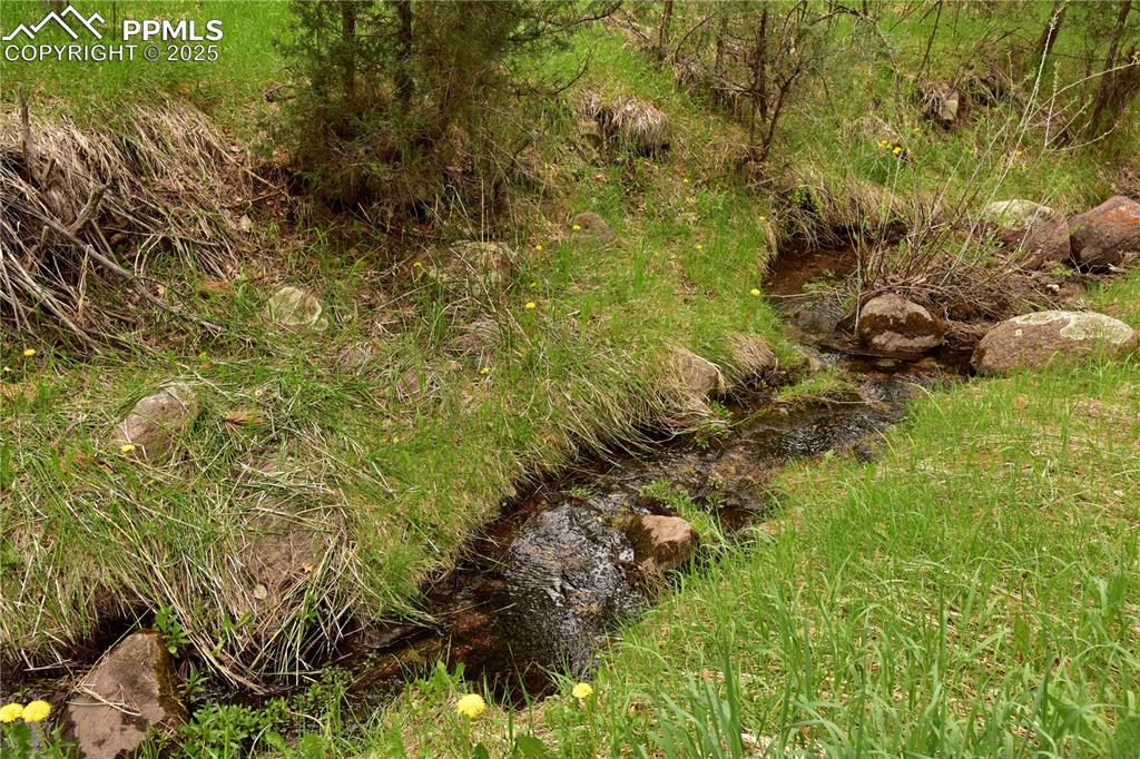 Image 35 of 46: View of nature