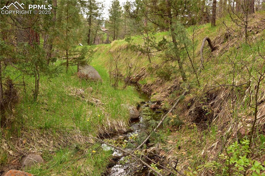 Image 36 of 46: View of tree filled area