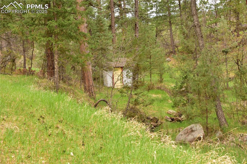 Image 37 of 46: View of tree filled area