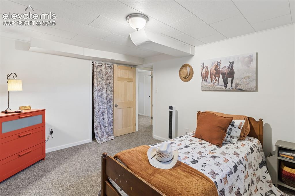 Image 35 of 50: Wall-to-wall carpeting and white walls with a drop ceiling