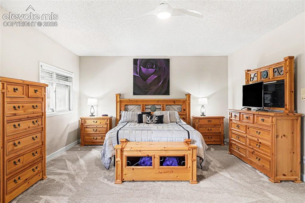Image 15 of 31: Main floor Primary bedroom featuring neutral wall paint, light-colored carp