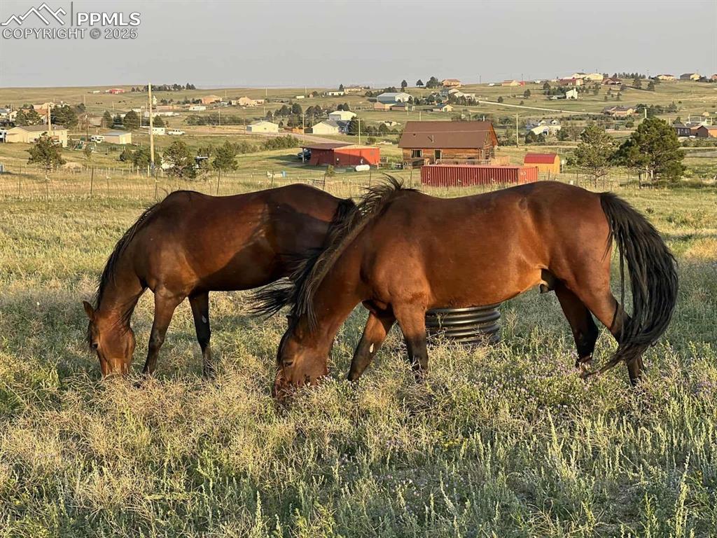 Image 37 of 39: Horse barn featuring a view of rural / pastoral area