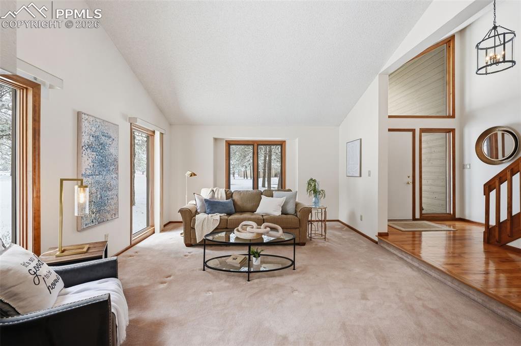 Image 19 of 45: Tons of natural light!