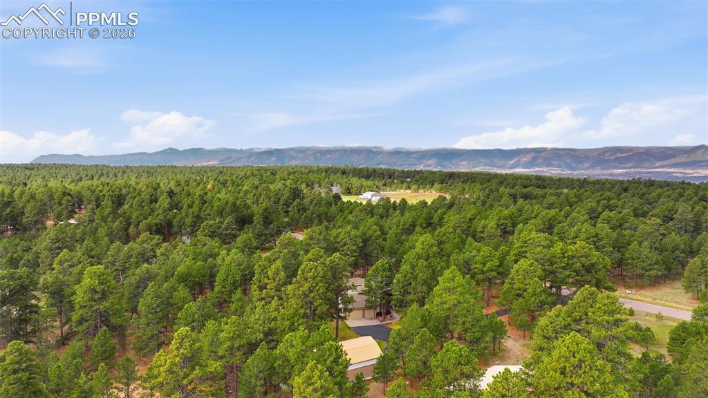 Image 41 of 45: Beautiful! fully treed lot!