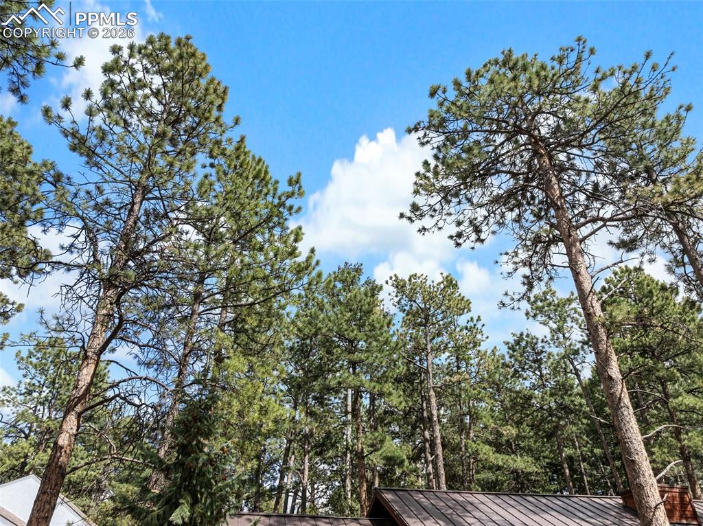 Image 43 of 44: Other