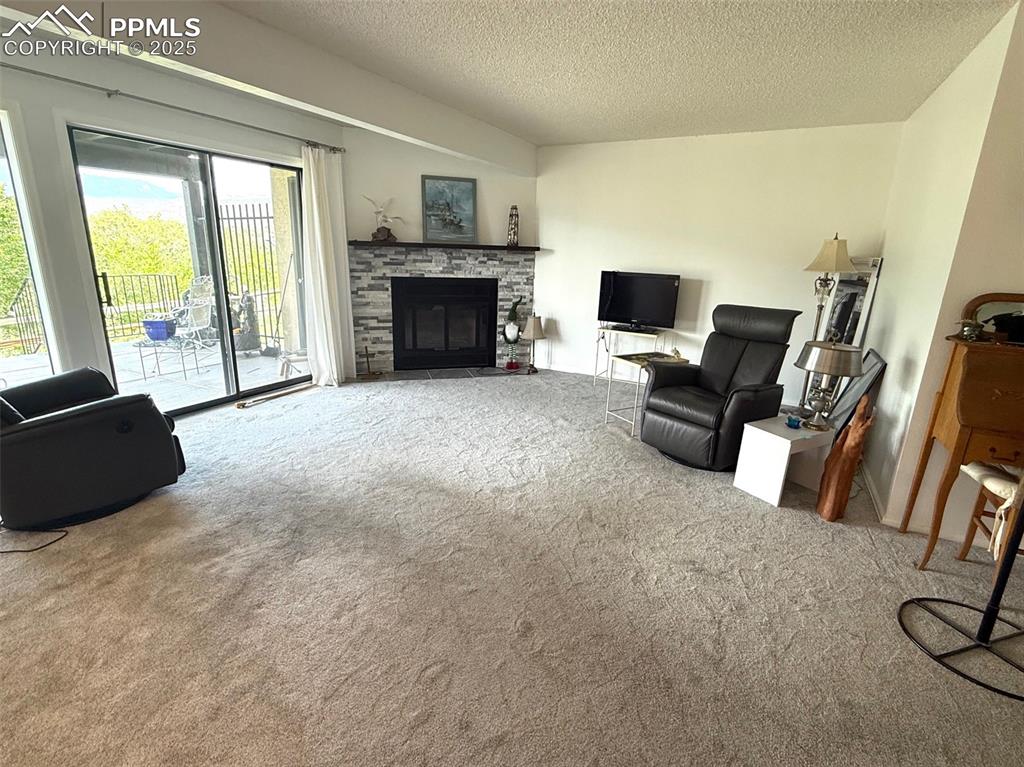Image 5 of 11: Carpeted living area/fireplace with flush hearth