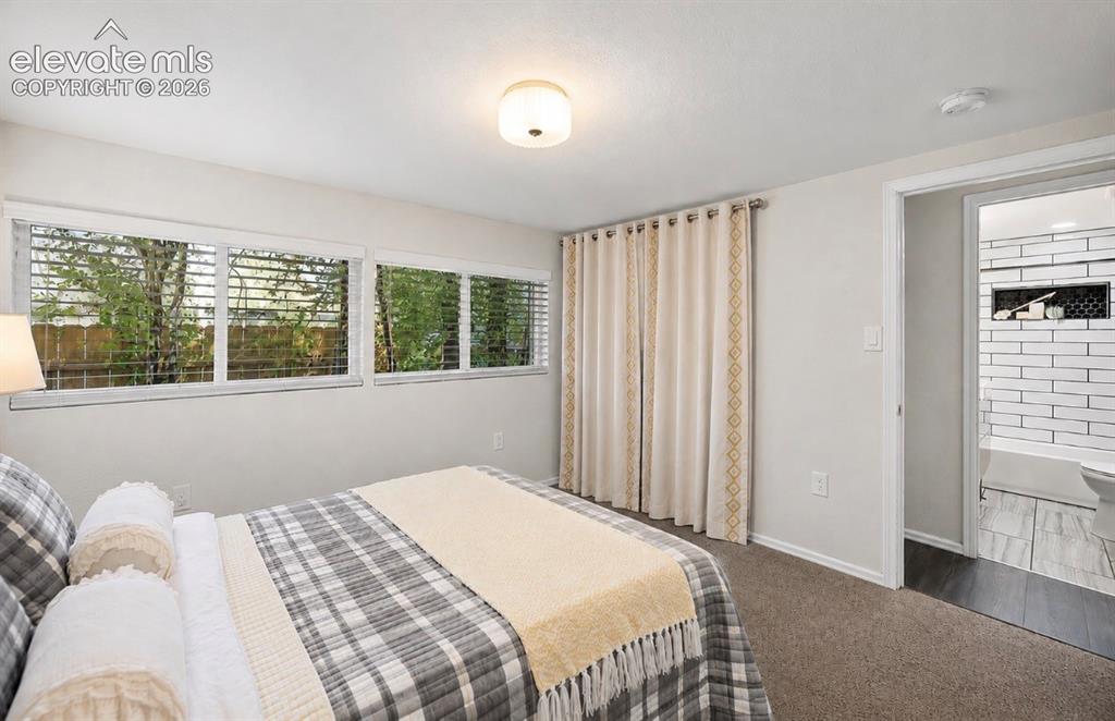 Image 24 of 41: Bedroom featuring light gray walls, plush carpeting, multiple windows with