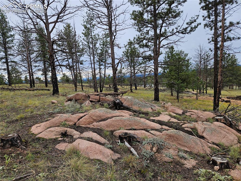 Image 18 of 30: Other