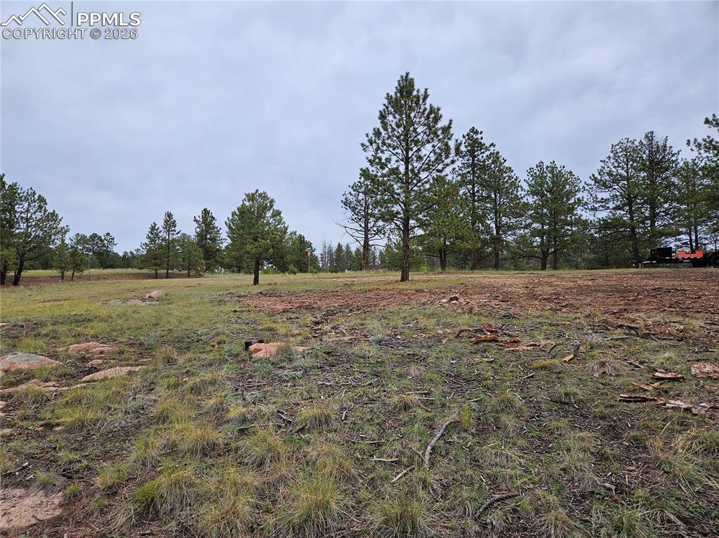 Image 20 of 30: Yard