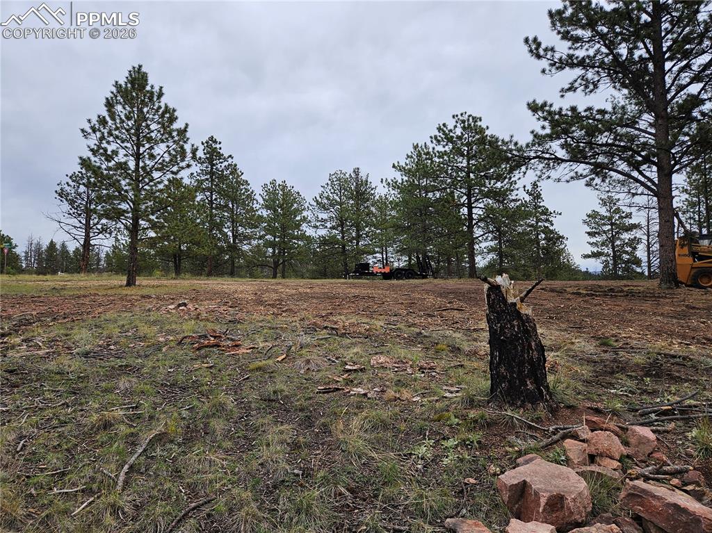 Image 21 of 30: Yard