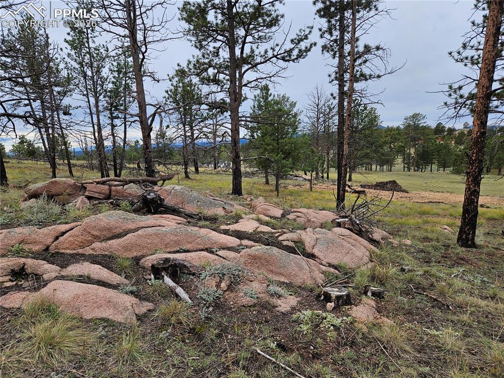 Image 22 of 30: Other