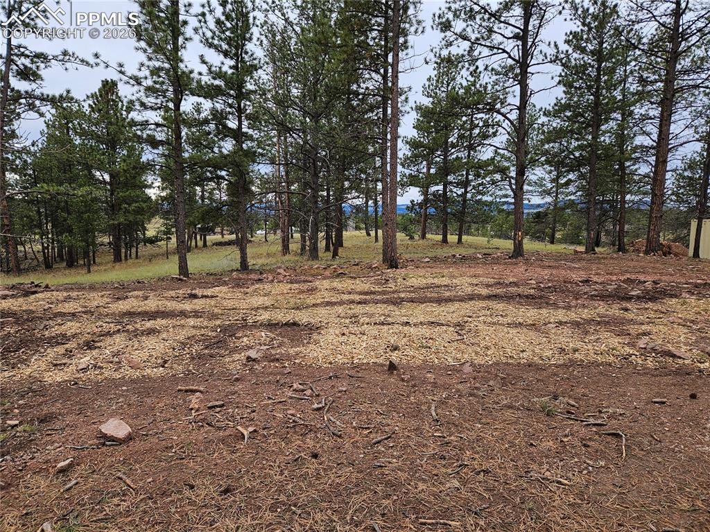 Image 24 of 30: Other