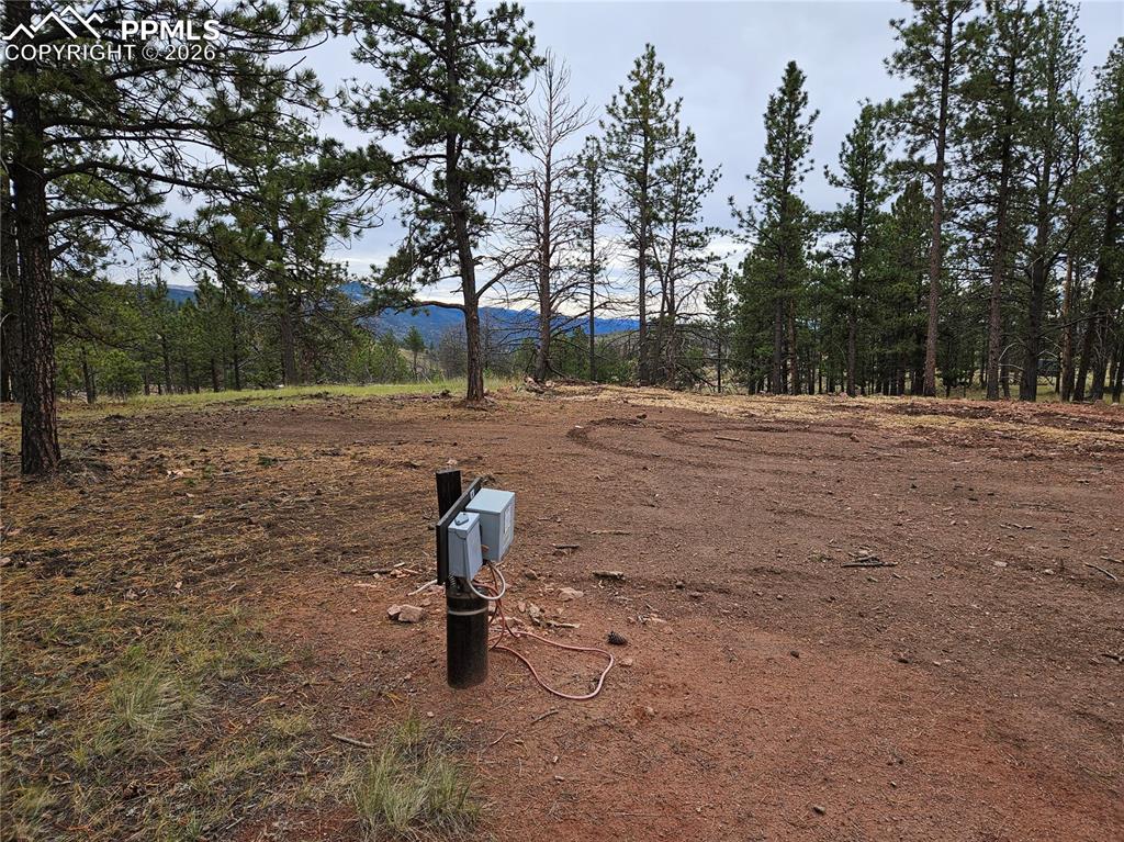 Image 25 of 30: Other