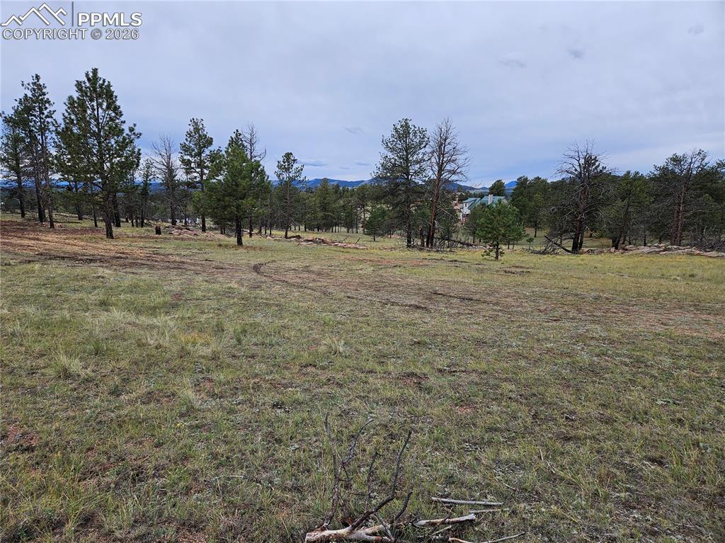 Image 26 of 30: Yard