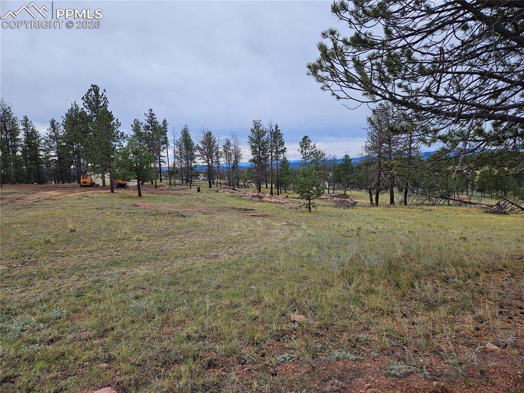 Image 28 of 30: Yard