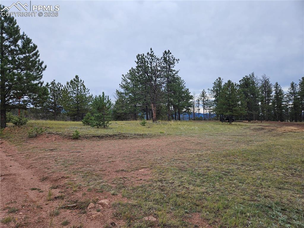 Image 29 of 30: Yard