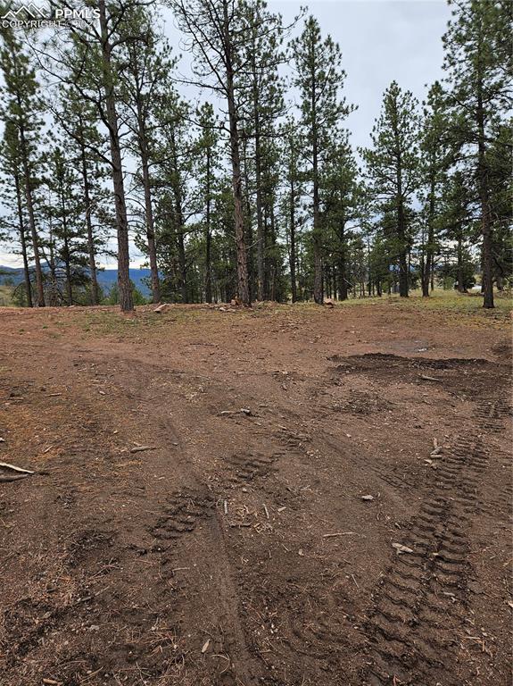 Image 8 of 30: Other