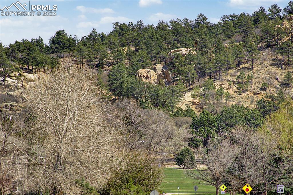 Image 36 of 39: Evergreen pines and golden sandstone outcroppings crown the hillside just b