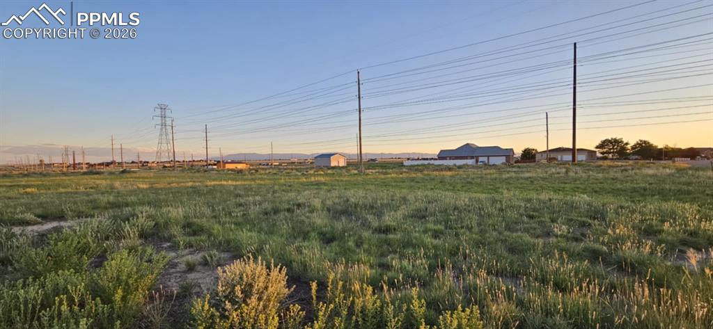 Image 10 of 11: Yard