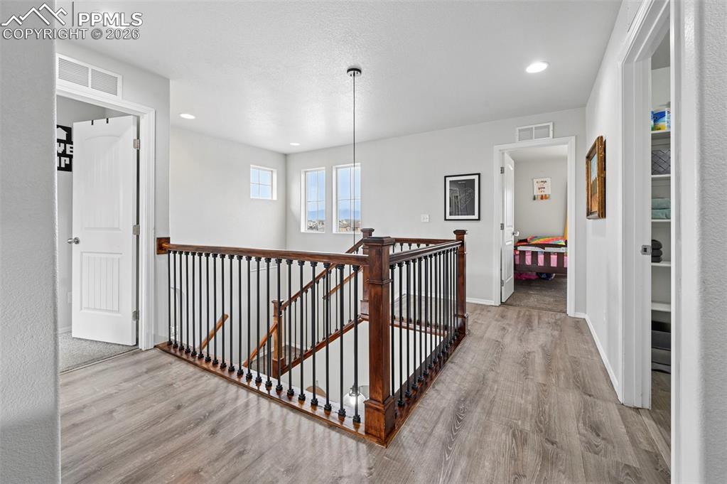 Image 14 of 41: Other