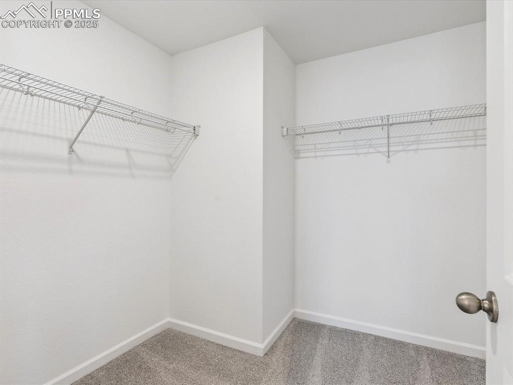 Image 19 of 21: No Description Available