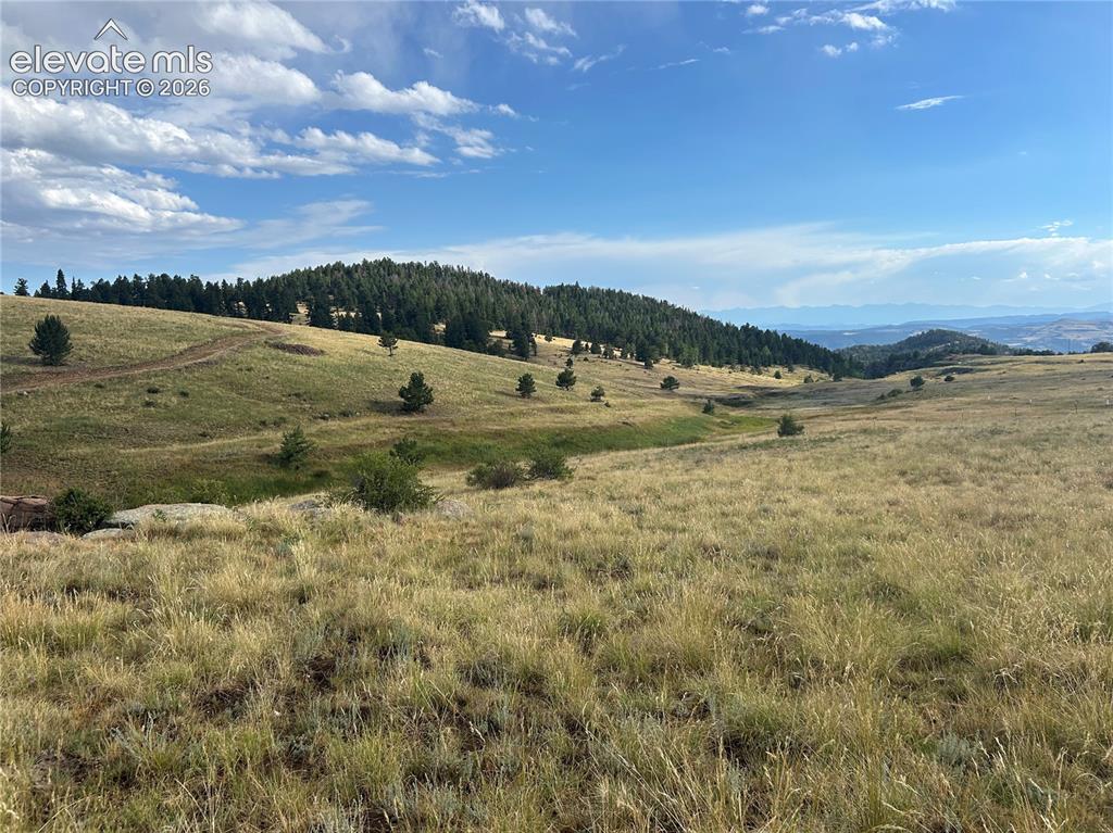 Image 2 of 7: View