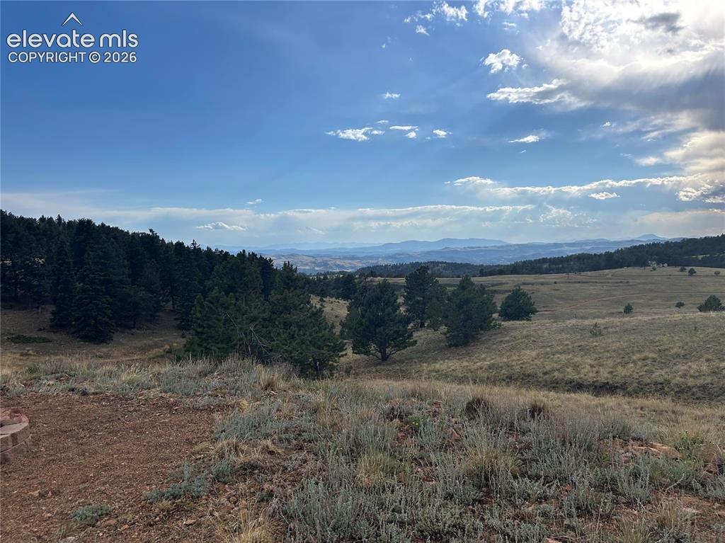 Image 7 of 7: View