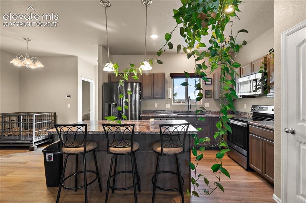 Image 4 of 36: Kitchen featuring wood-finish flooring, dark wood cabinetry, stainless stee