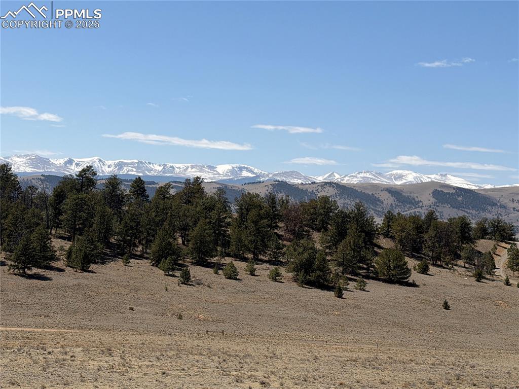 Image 4 of 14: View