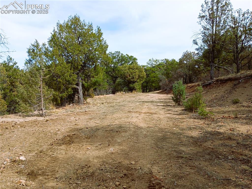 Image 10 of 20: Other