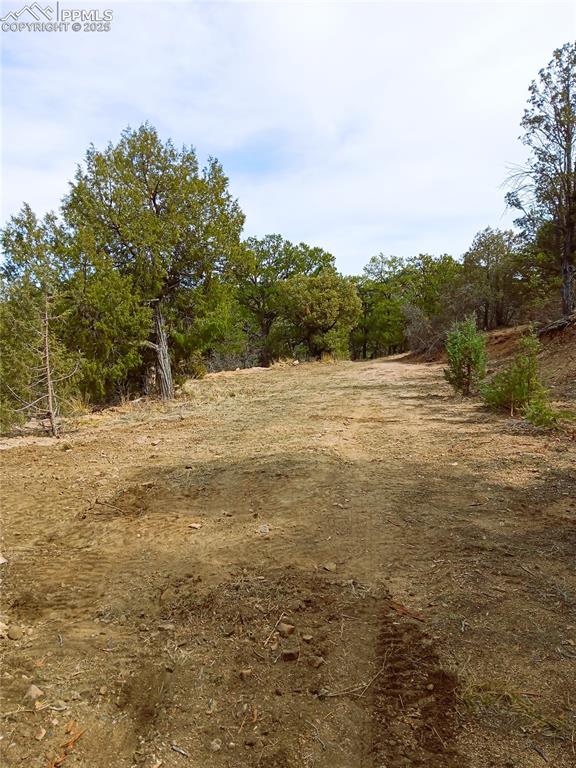 Image 11 of 20: Yard