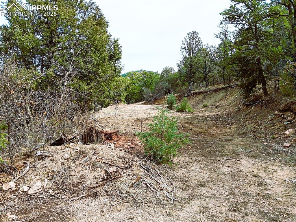 Image 12 of 20: Other