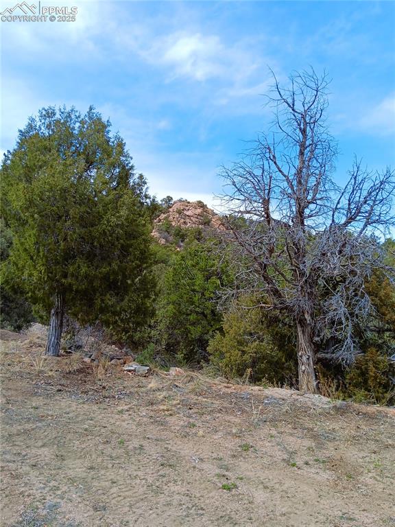 Image 13 of 20: Other