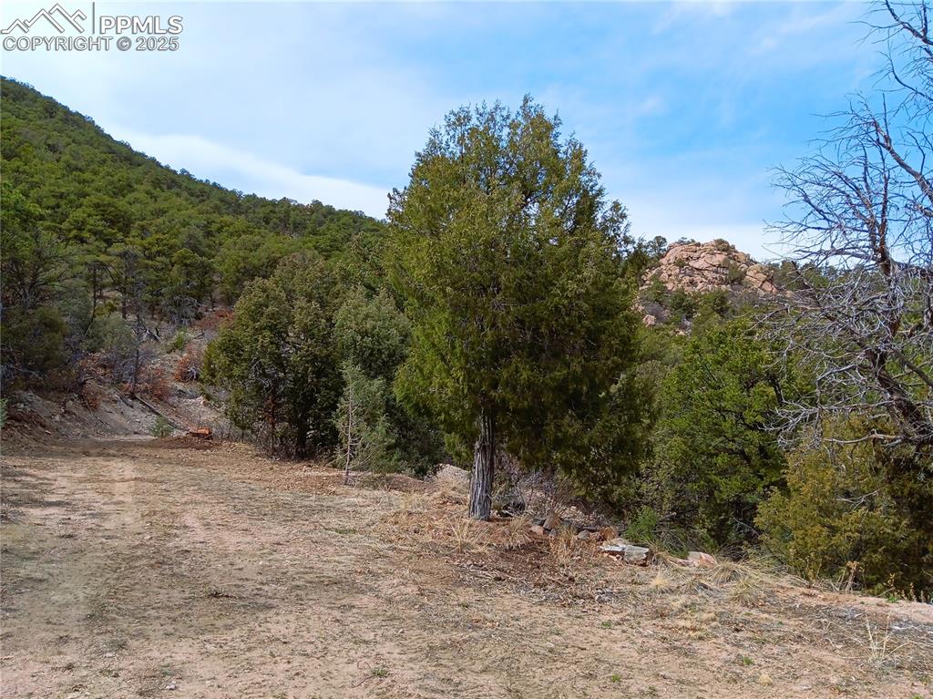 Image 14 of 20: Other