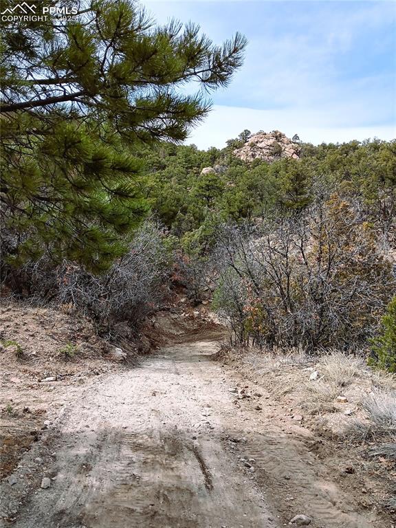 Image 15 of 20: Other