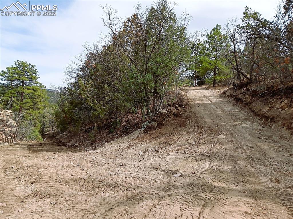 Image 16 of 20: Community